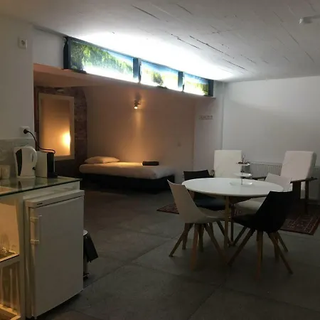 Apartment Cityaparthotel La Maison De Verre *
